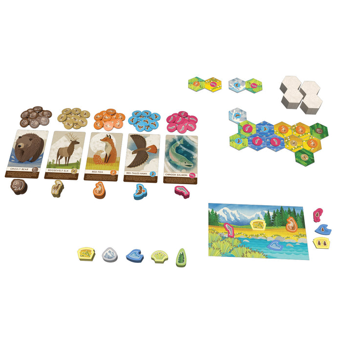 Cascadia Junior board game setup with wildlife sighting tokens, hex tiles, cards, and habitat boards – kid-friendly strategy game from Alderac Entertainment Group.
